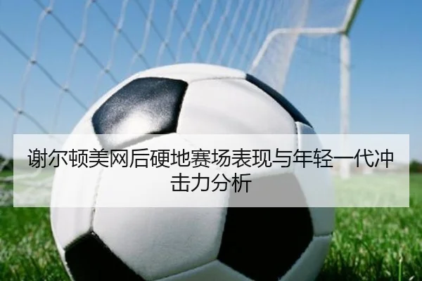 谢尔顿美网后硬地赛场表现与年轻一代冲击力分析